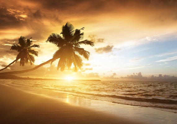 Goa & Water
