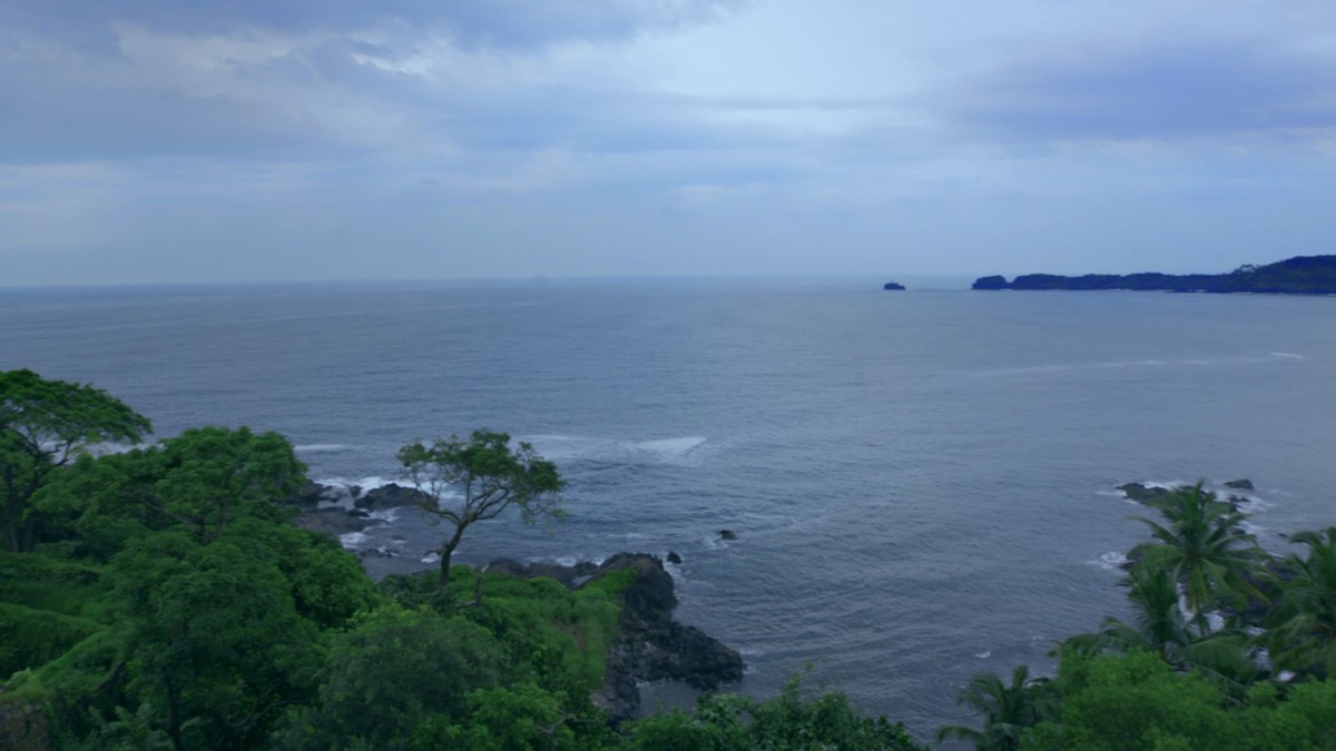 Why Is Paul John Whisky Made in Goa?